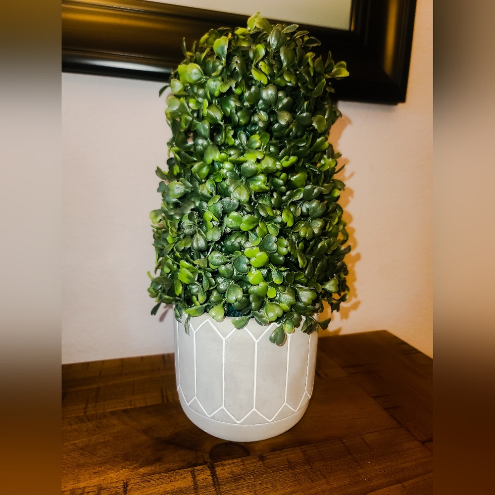 BHG Cement Topiary